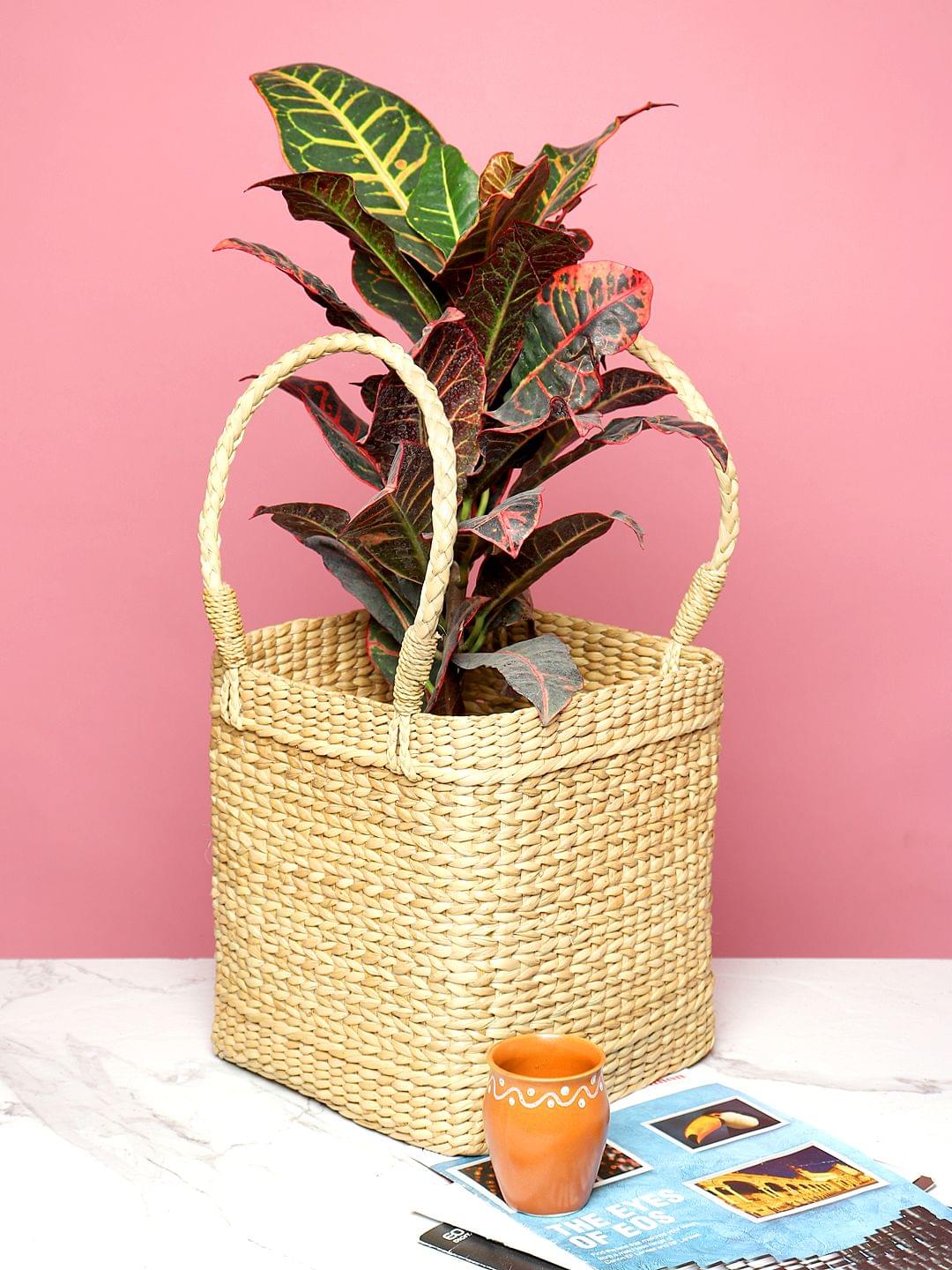 Multi-Use Seagrass Basket for Planters & Home Items