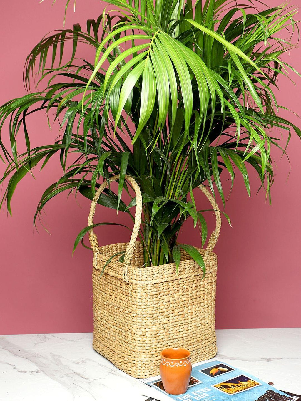 Multi-Use Seagrass Basket for Planters & Home Items