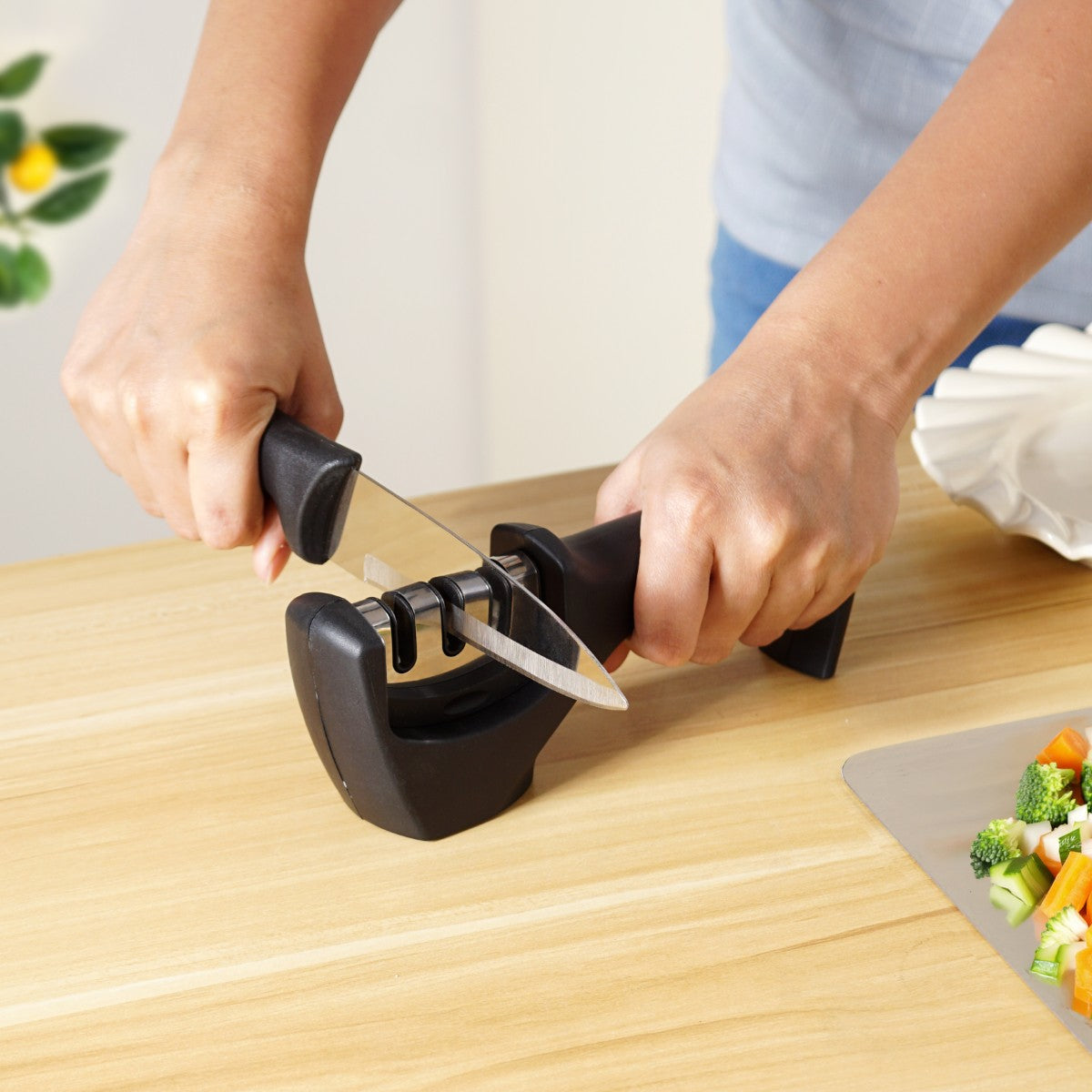 Knife Sharpener Nestasia