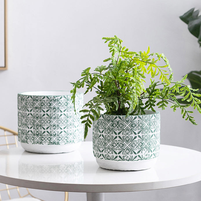 Lush Green Pot Small Nestasia
