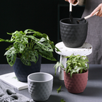 Hexagon Textured Planter Pot Nestasia