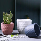 3D Hexagonal Pot Nestasia