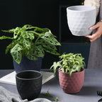 3D Hexagonal Pot Nestasia