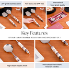 Luxury Accent Serving Spoon Set Of 2 Nestasia