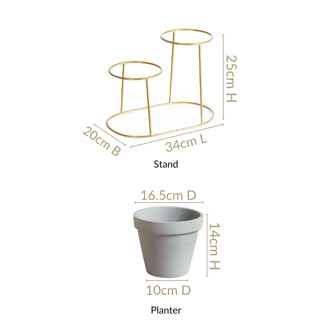 TerraDuo Grey Planters Pair With Gold Stand Nestasia