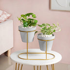 TerraDuo Grey Planters Pair With Gold Stand Nestasia