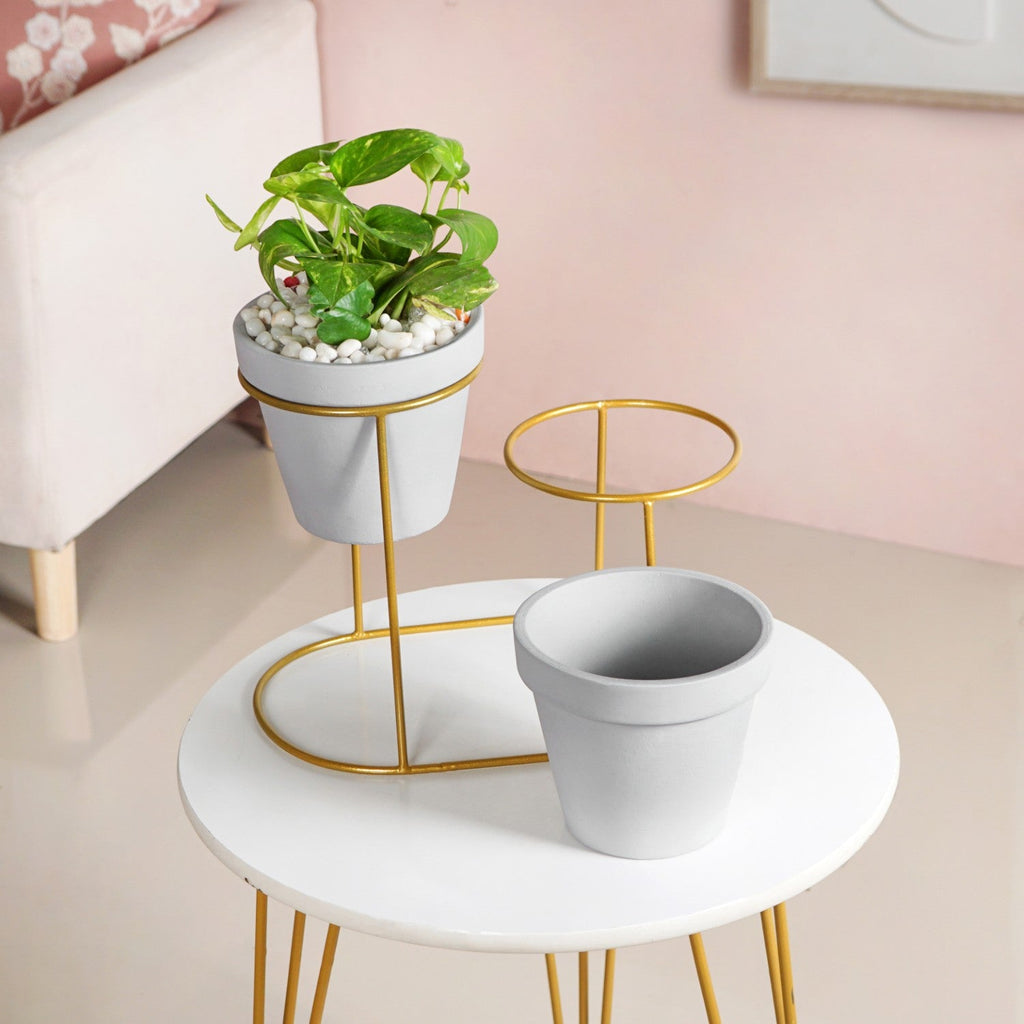 TerraDuo Grey Planters Pair With Gold Stand Nestasia