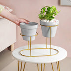 TerraDuo Grey Planters Pair With Gold Stand Nestasia