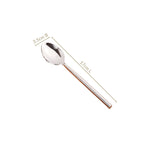 Modern Stainless Steel Table Spoon Set Of 6 Nestasia