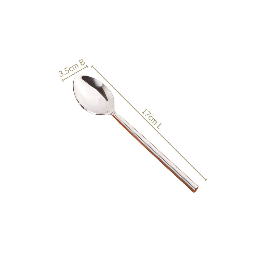 Modern Stainless Steel Table Spoon Set Of 6 Nestasia
