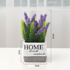 Rectangular Plant Pot Nestasia