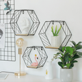 Hexagonal Shelf Nestasia
