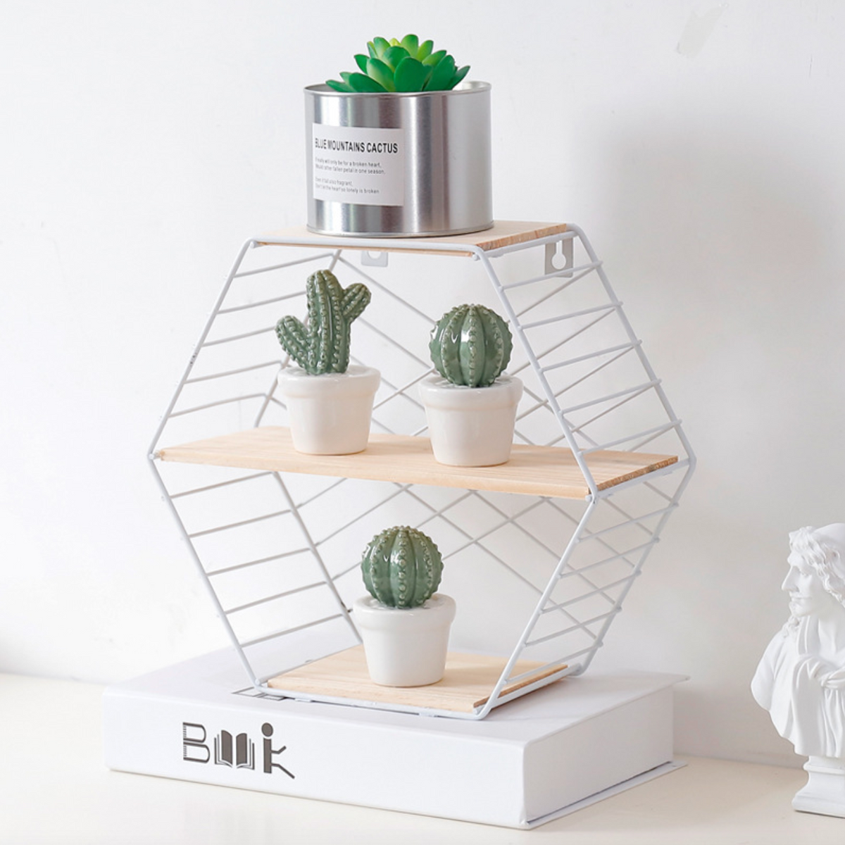 Hexagon Shelf For Wall Nestasia