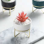 Small Flower Pot