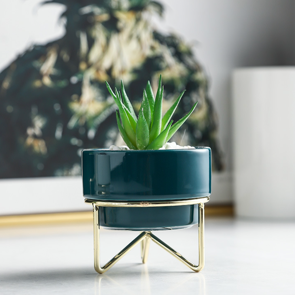 Small Flower Pot
