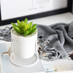 Small Pot Planter Nestasia