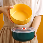 Colorful Bowl With Lid Nestasia