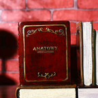 Book Pen Stand Nestasia