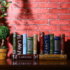 Book Pen Stand Nestasia