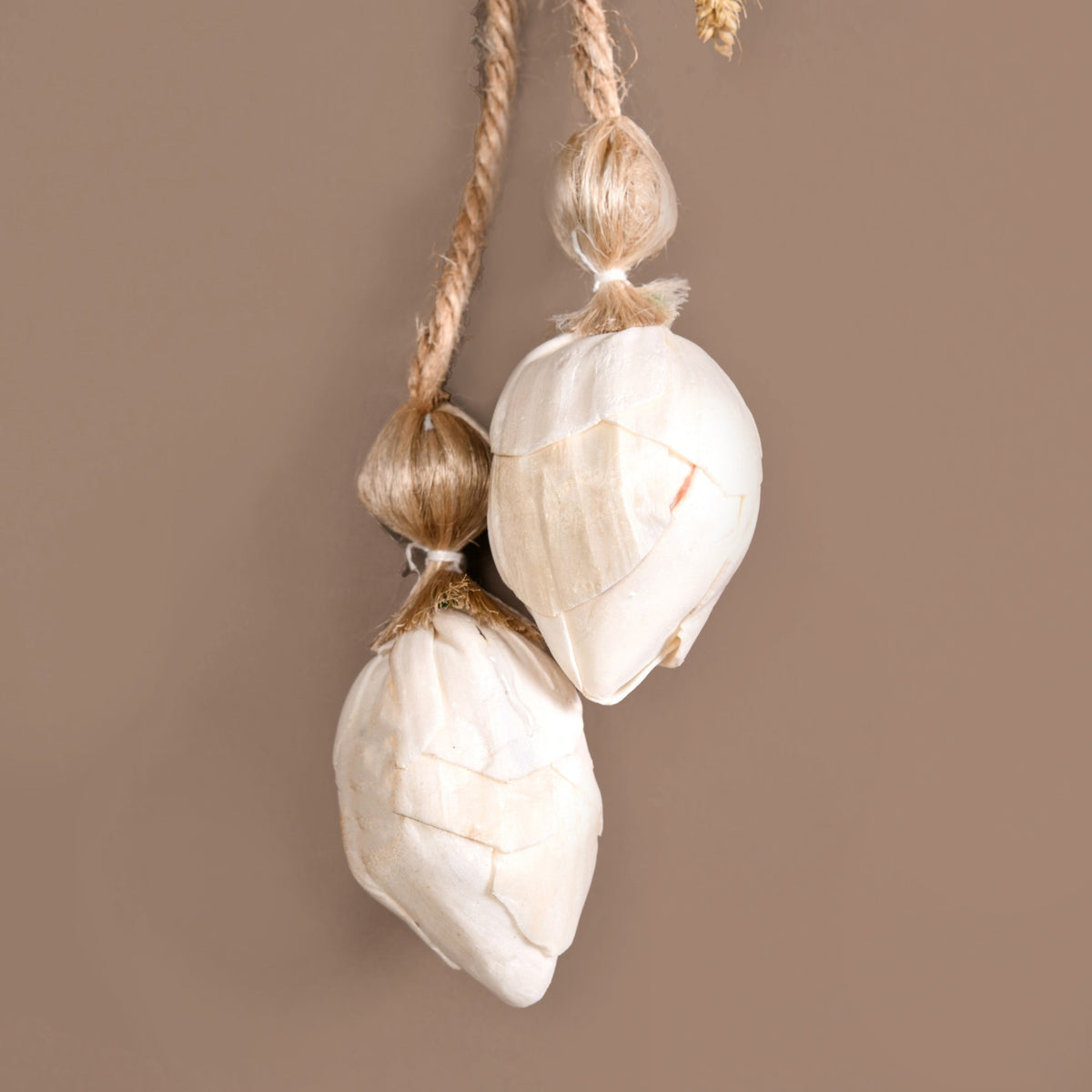 Organic Luxe Bloom Festive Wall Hanging Set Of 2 Nestasia