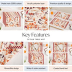 Checkered Border Placemat Set Of 4 Nestasia