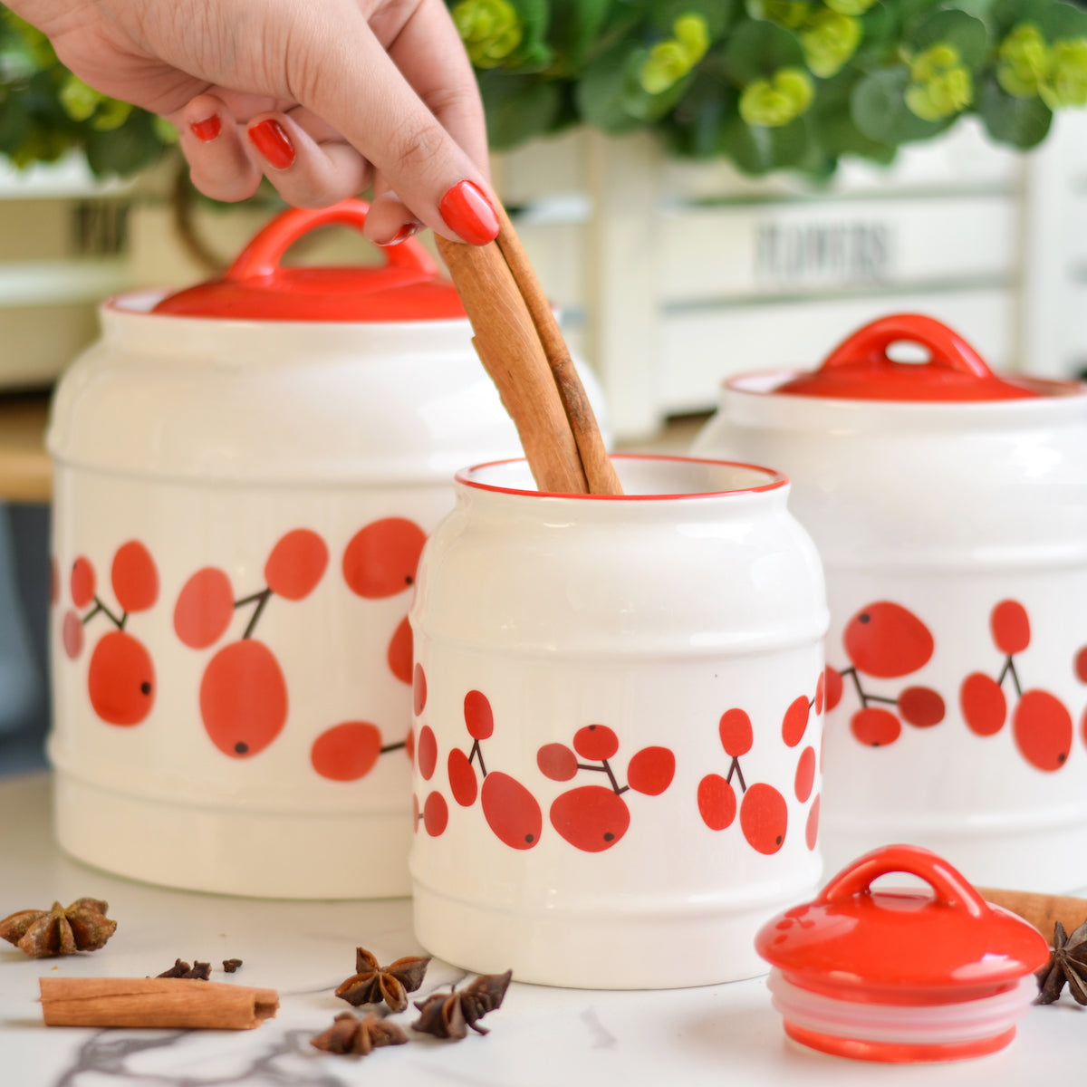 Airtight Jars Red Nestasia