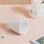 Ternion Textured Planter Set Of 3 With Plate White Nestasia