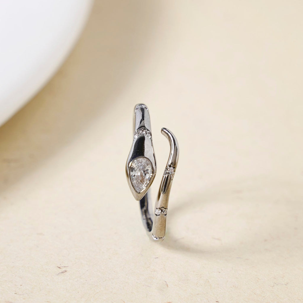 Serpentine Charm Oxidised Silver Ring Nestasia