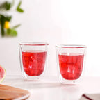 Set Of 2 Transparent Double Wall Tumblers 300ml Nestasia