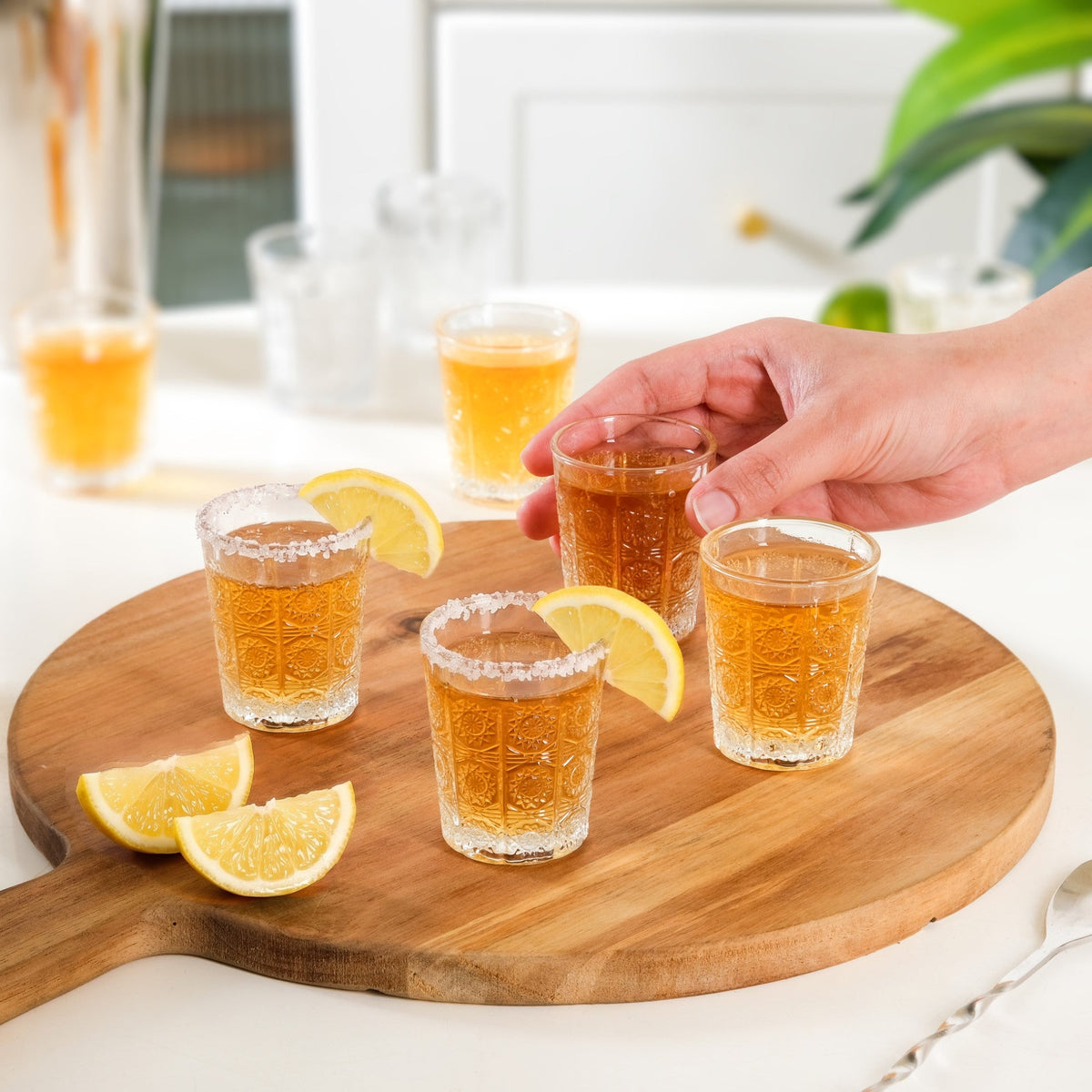 Sunburst Embossed Shot Glass Set Of 12 55ml Nestasia