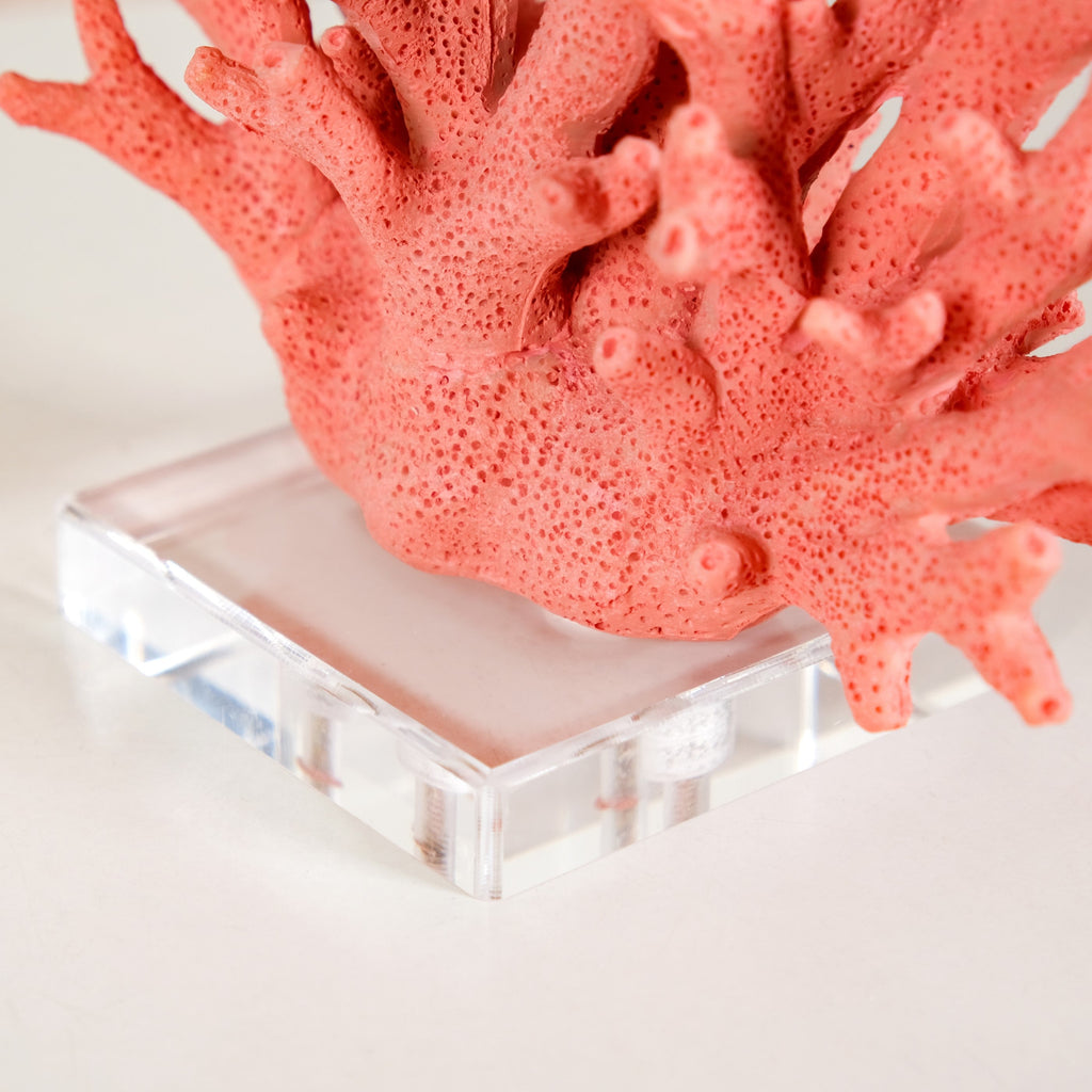 Vibrant Coral Coffee Table Decor Nestasia