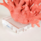 Vibrant Coral Coffee Table Decor Nestasia