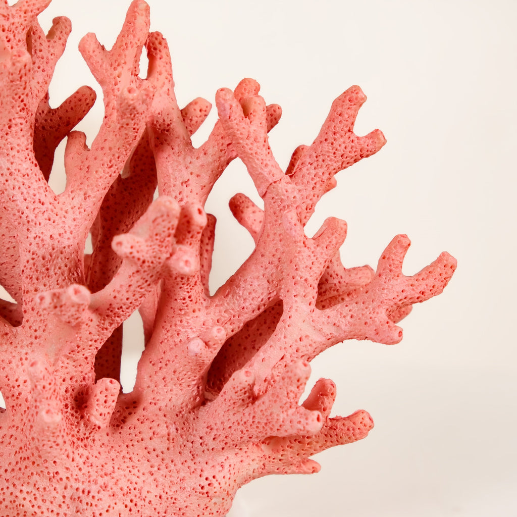Vibrant Coral Coffee Table Decor Nestasia