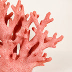 Vibrant Coral Coffee Table Decor Nestasia