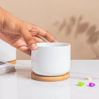 White Mosaic Ceramic Planter And Wooden Coaster Nestasia
