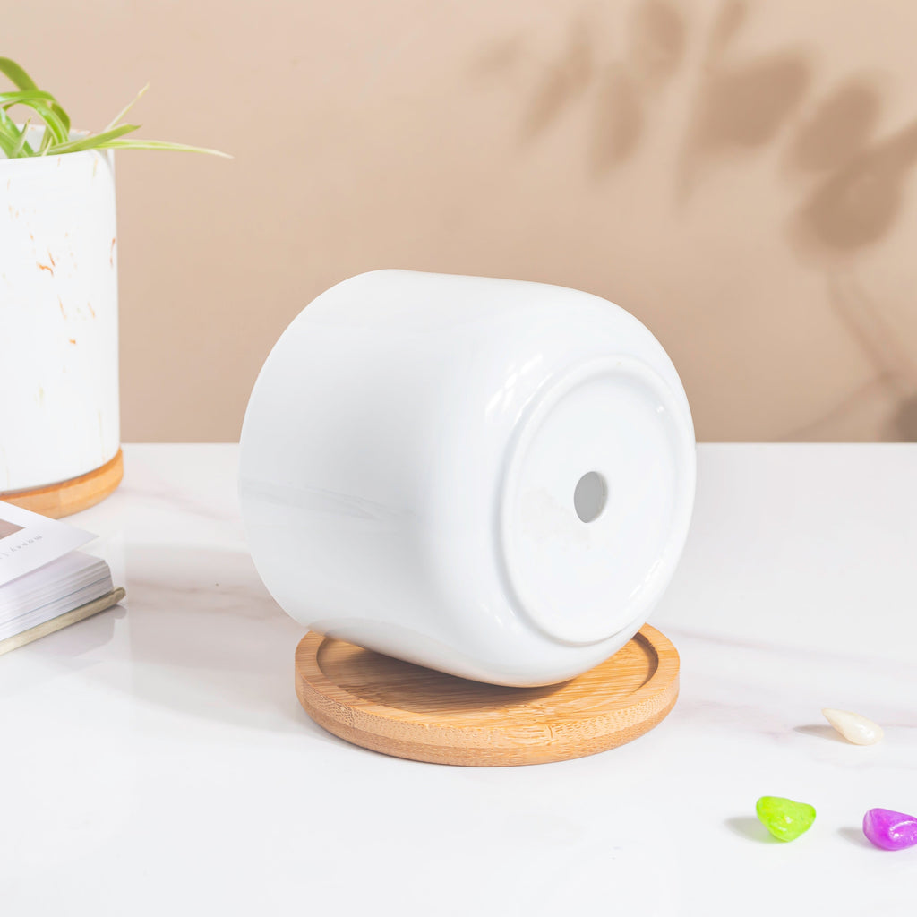 White Mosaic Ceramic Planter And Wooden Coaster Nestasia