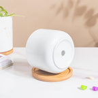 White Mosaic Ceramic Planter And Wooden Coaster Nestasia