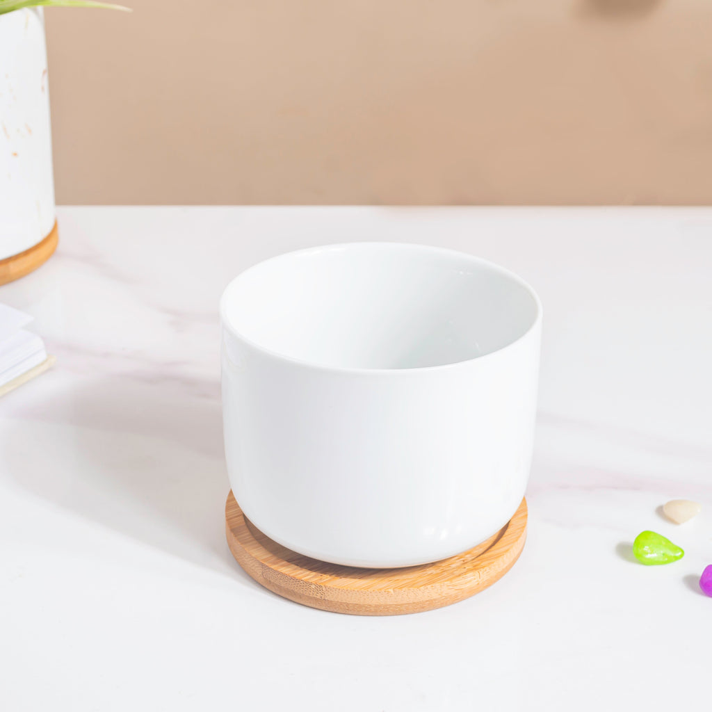 White Mosaic Ceramic Planter And Wooden Coaster Nestasia
