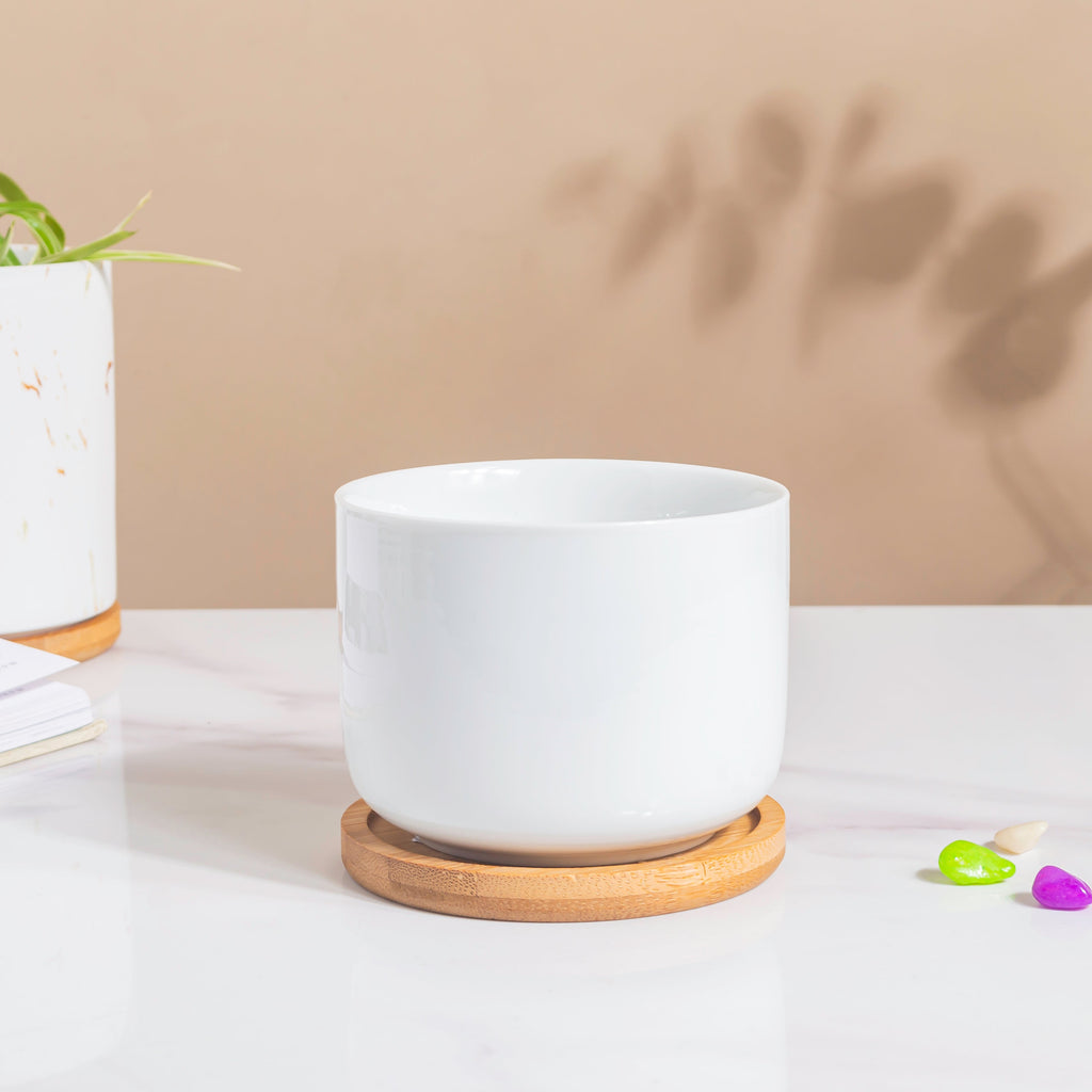 White Mosaic Ceramic Planter And Wooden Coaster Nestasia
