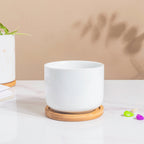 White Mosaic Ceramic Planter And Wooden Coaster Nestasia