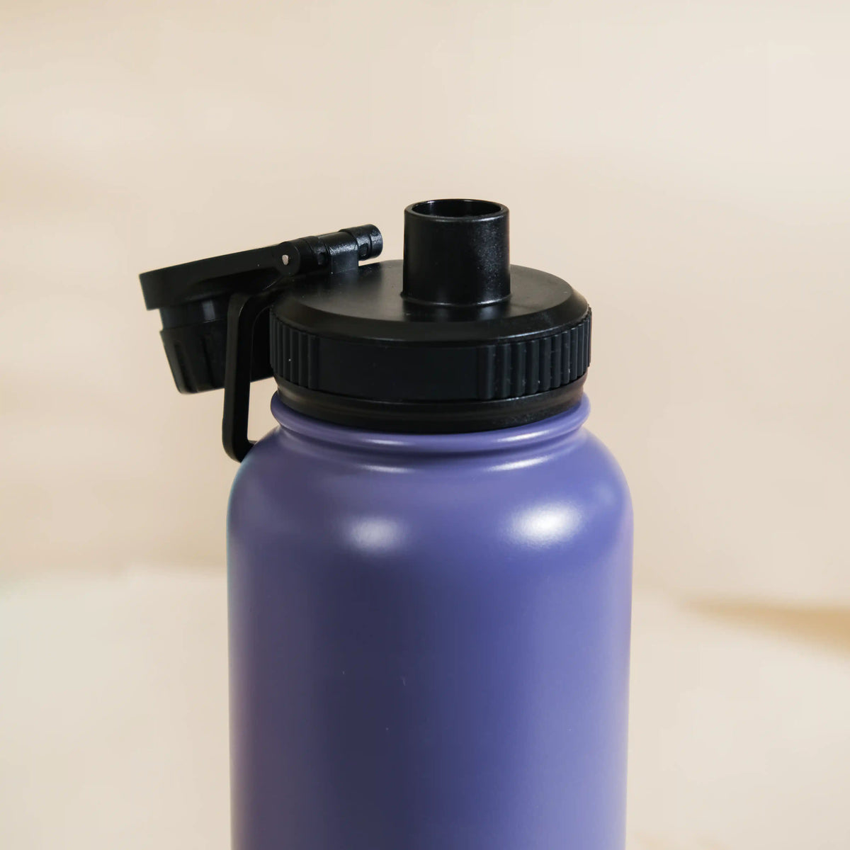 Stainless Steel Travel Bottle Blue 1L Nestasia