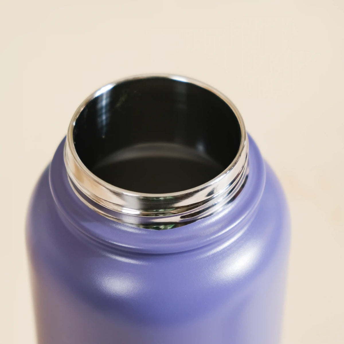Stainless Steel Travel Bottle Blue 1L Nestasia