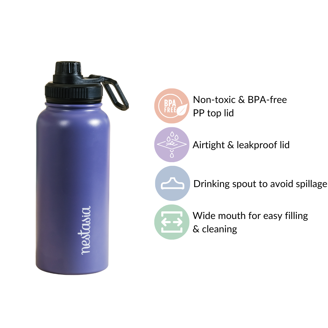 Stainless Steel Travel Bottle Blue 1L Nestasia