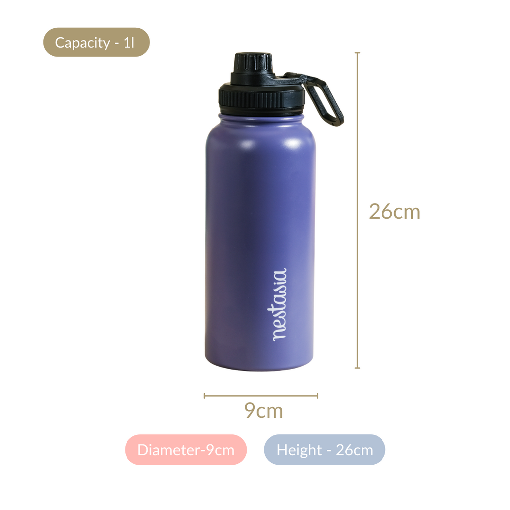 Stainless Steel Travel Bottle Blue 1L Nestasia