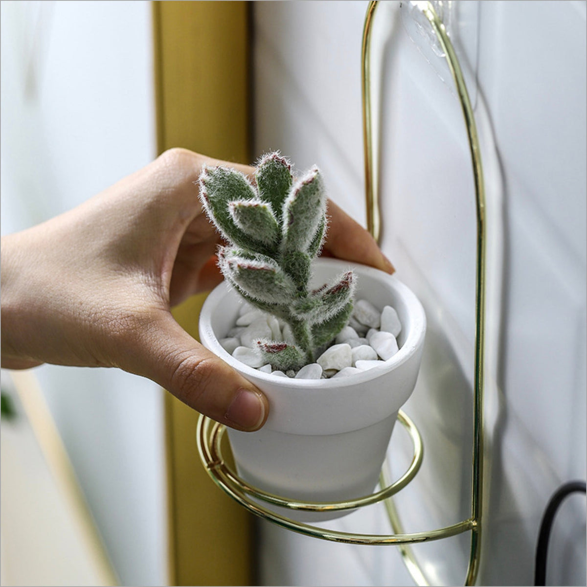Hanging Planter White Nestasia